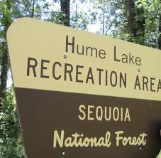 Drive #3: Hwy 180-Grant Grove to Hume Lake