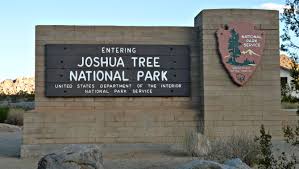조슈아 트리 국립 공원 (Joshua Tree National Park) 안내